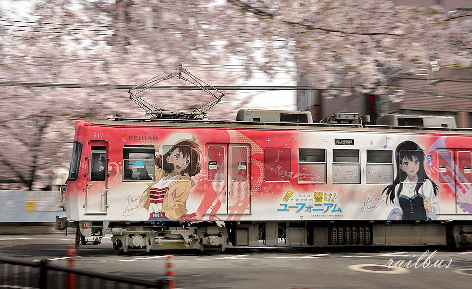 トップ写真京阪電車春爛漫