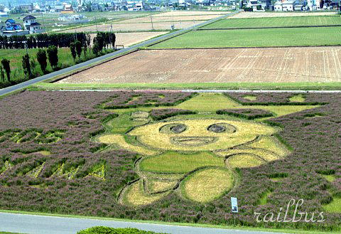 岡山県農業総合センターももっち