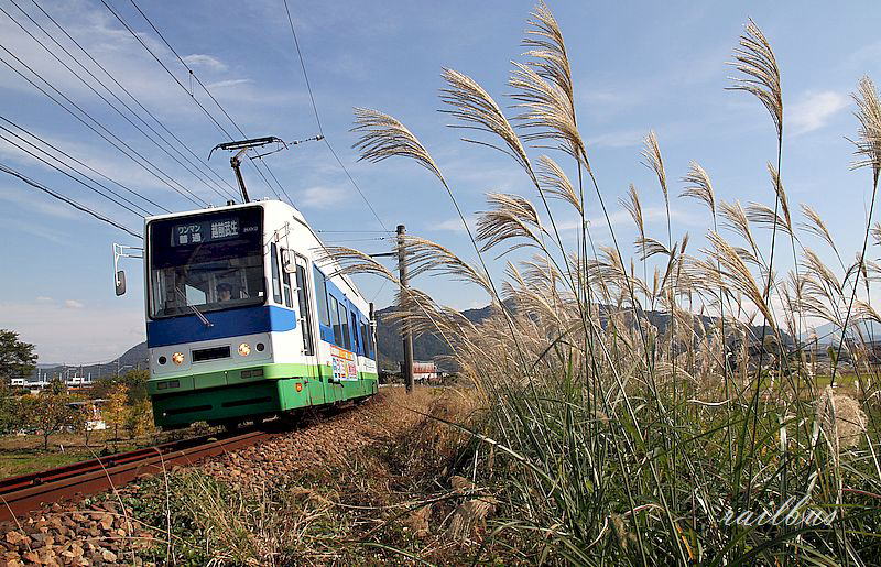 福井鉄道鳥羽中800形