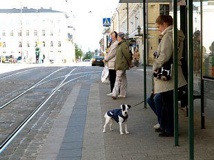 Helsinki tram