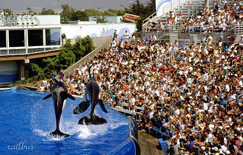Sea World