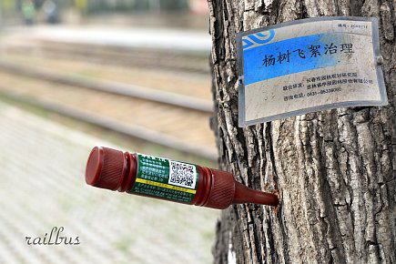 楊樹薬剤注入