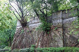 広州越秀公園