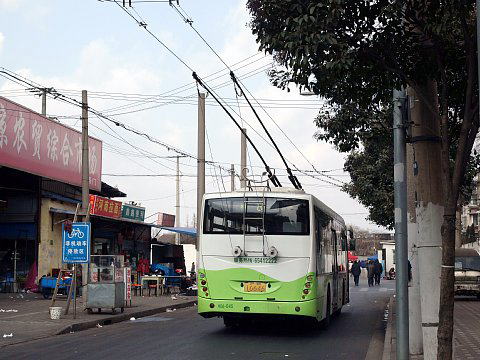 上海8路