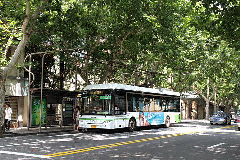 上海15路