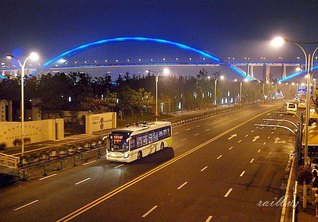 上海万博廬浦大橋夜景