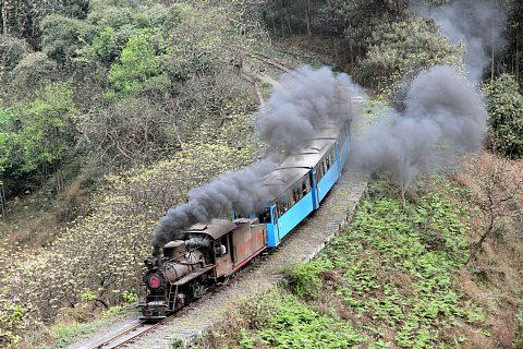 芭石鉄道