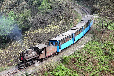 芭石鉄道