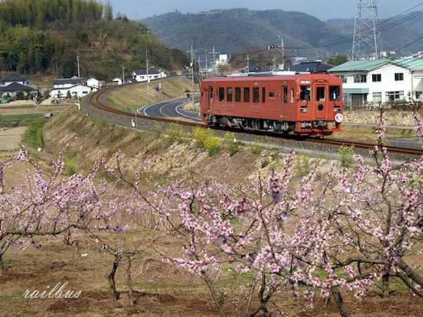 井原鉄道桃畑