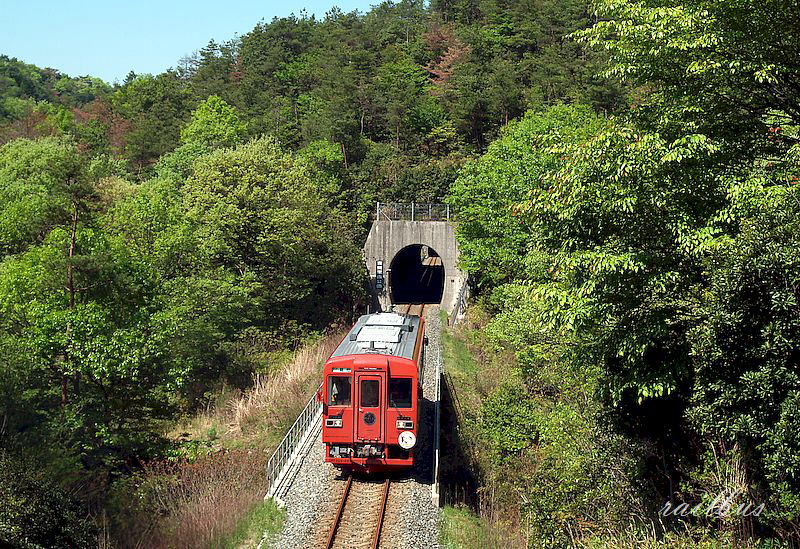 井原鉄道吉備真備トンネル新緑